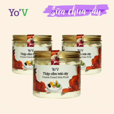 Sữa Chua Sấy Yo'V trái cây thập cẩm 60g